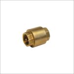 Brass-Spring-Check-Valve-BSP-Parallel-Female-Ends