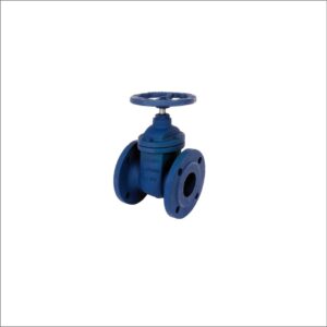 Cast-Iron-PN16-Flanged-Gate-Valve -Brass Trim