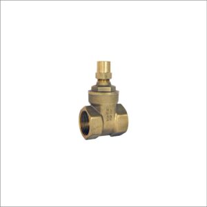 PN20-DZR-Brass-Gate-Valve-BSP