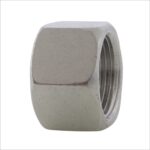 stainless-steel-hexagon-cap-npt